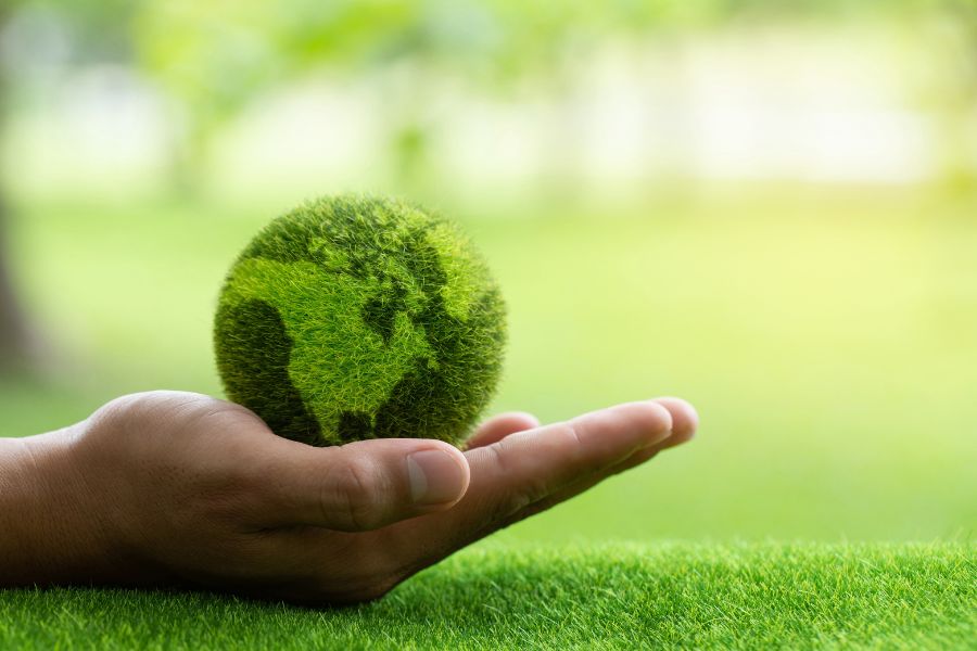 Ações ambientais reforçam compromisso da Nitriflex com a sustentabilidade  