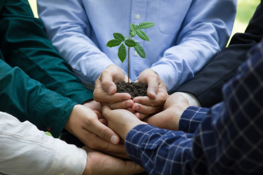 Birla Carbon acelera rumo ao desperdício zero na indústria têxtil, de moda e carbono